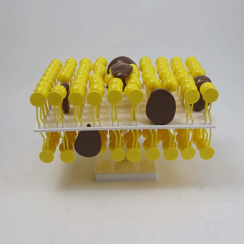Cell membrane flow mosaic model component junior high school biology teaching demonstration experiment device