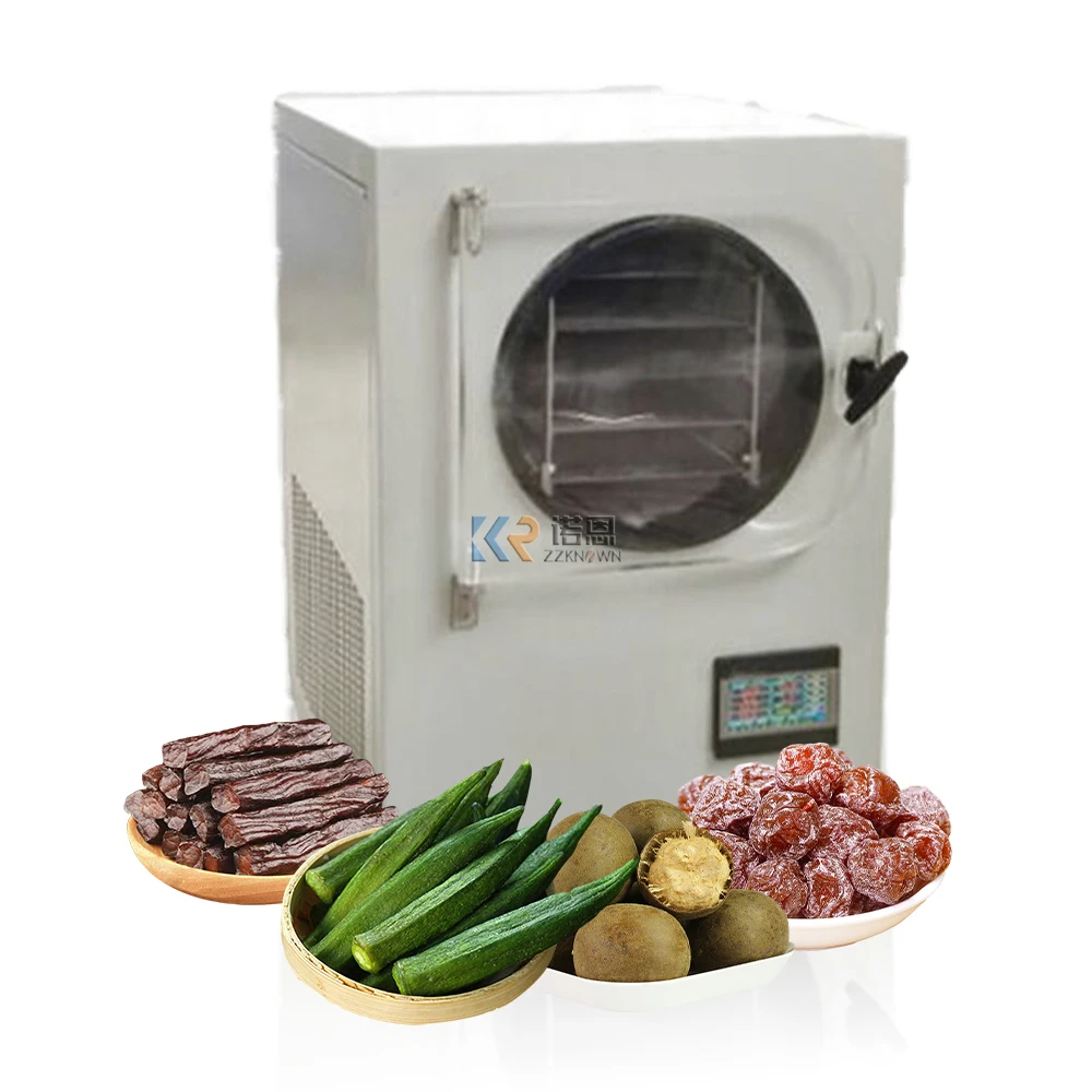 #Fruit Vegetable Freeze Dryer Drying Machine With Oil Less Pump Lyophilizer Machine Industrial Freezer Dryer Vacuum System