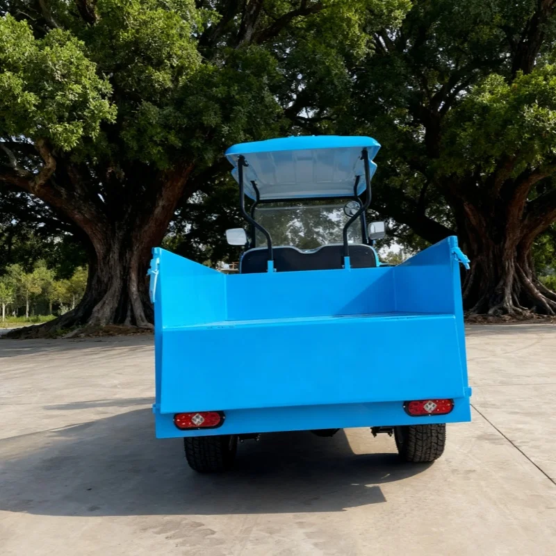 جديد بطارية تعمل بالطاقة الكبار عربة جولف كهربائية MacPherson تعليق 2 الركاب عربة شحن كهربائية قابلة للطي مع صندوق البضائع الخلفي