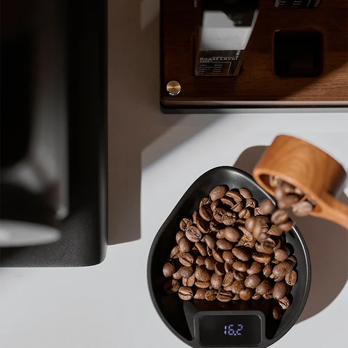 핸드헬드 정전기 방지 커피 콩 스프레이 병, 정밀 그라인딩, 커피 애호가에게 이상적, 10ml, 1 개