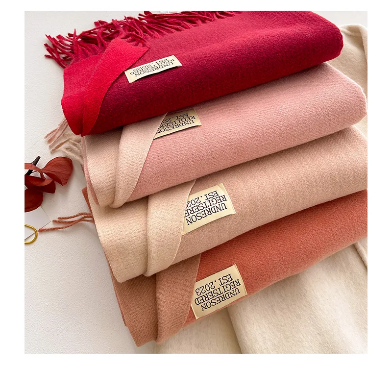 Mode solide Kaschmir warmen Schal neues Design Pashmina Winter Doppelseite verschiedene Farbe Schal Wraps Bufanda mit Quaste Decke – Detail 11