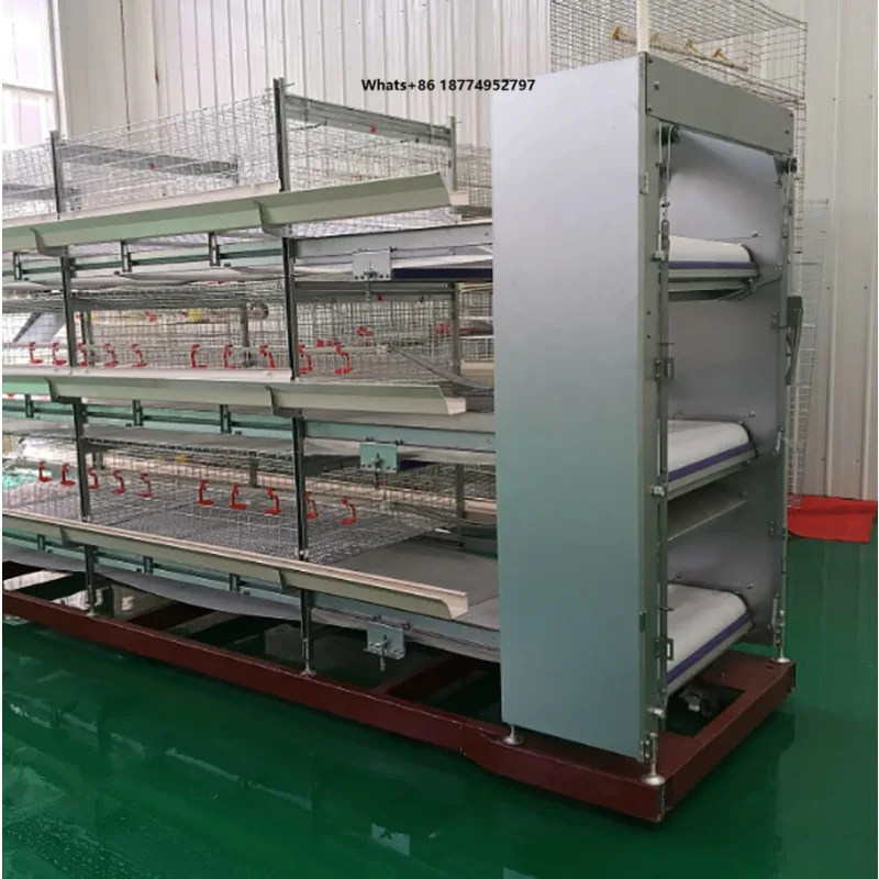 Integrated Design Automatic Poultry Egg Collecting Machine Matching Full Set Layer Chicken Cage Poultry Farm Machine