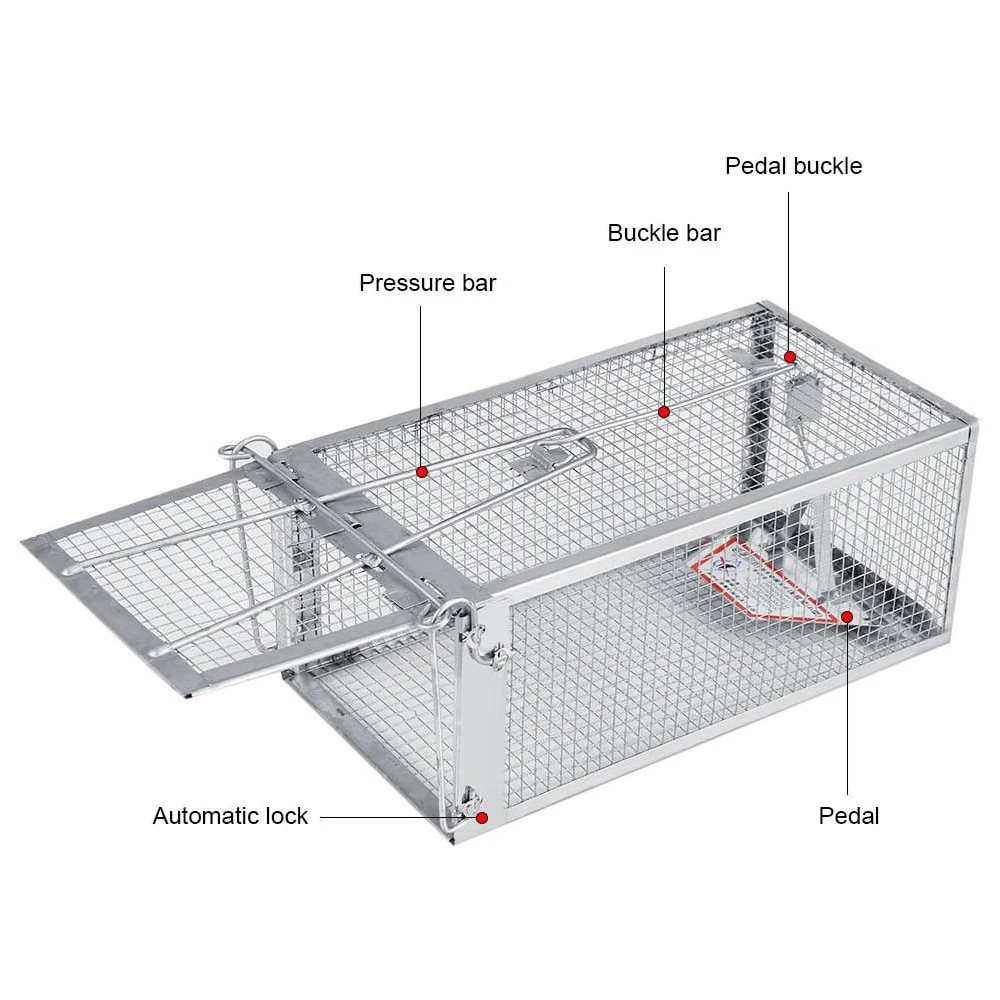 Живая гуманная клетка-ловушка для белки, мыши, крысы, мышей, грызунов, Ловец животных для дома и улицы, маленькие животные