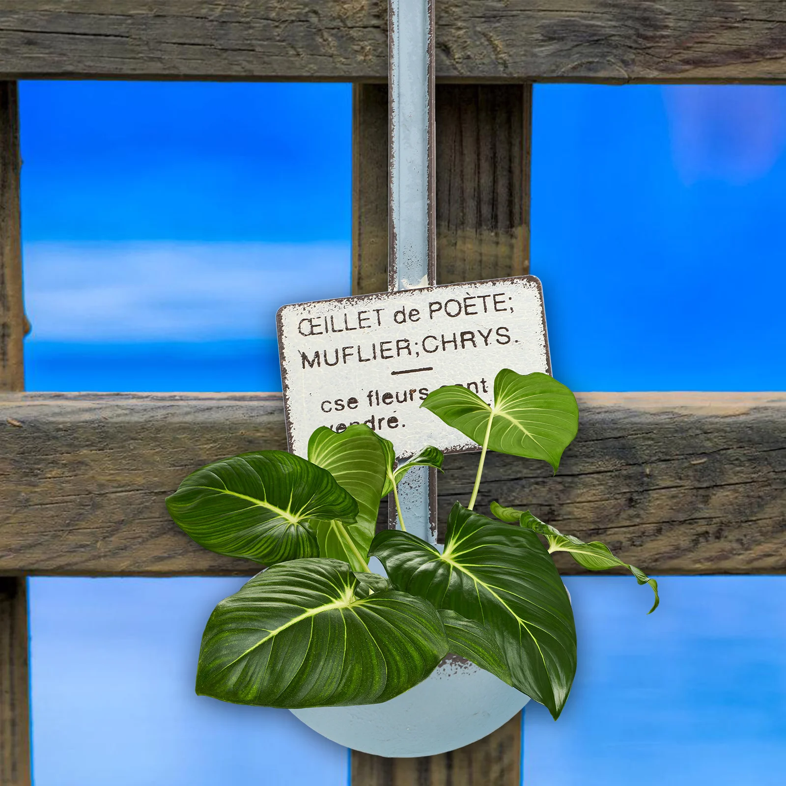 

Iron Hanging Flower Pot Spoon Shaped Outdoor Planter Decorative Metal Bucket For Garden Balcony Patio Indoor Plants Succulent