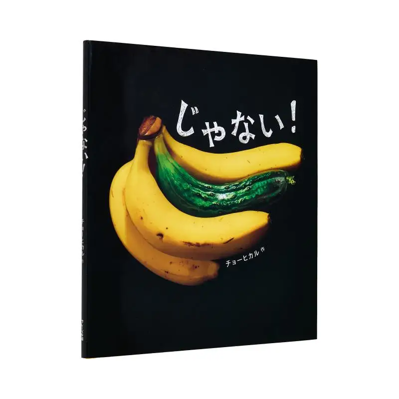 

No Chohhikaru Froebel 9784577048252 Book