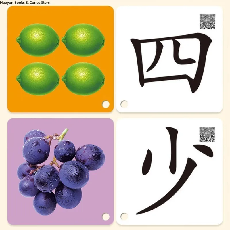 بطاقات الكلمات المصورة - المجلد 1: التعلم المرئي مع بطاقات تعليمية سميكة ومقاومة للتمزق للأطفال الصغار