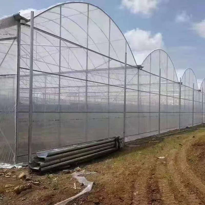 2025 الدفيئة البلاستيكية المستمرة زراعة الشتلات الزراعية الدفيئة ذات درجة الحرارة المستمرة