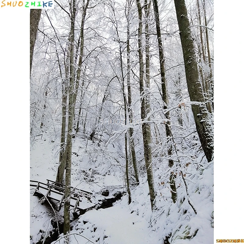 الشتاء الغابات الثلوج الطريق خلفيات للتصوير الفوتوغرافي عدم وضوح المشهد الثلج الطريق شجرة التنوب خلفية الصورة XD-12