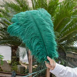 15-60CM 10pcs Ostrich Feathers Bulk for Crafts Wedding Party Home Table Centerpiece Decoration Carnival Ostrich Plume Dark Green