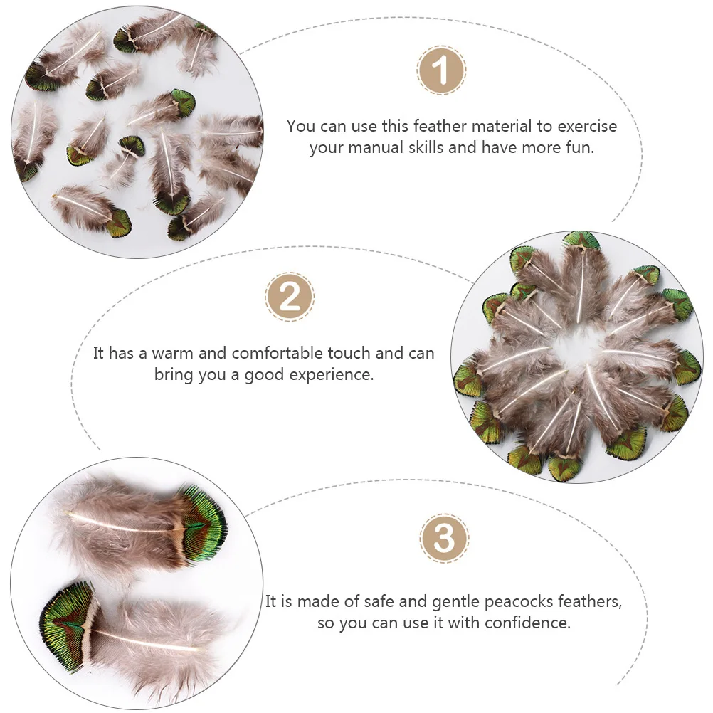 100 قطعة من مادة الطاووس الطبيعية التي يمكنك صنعها بنفسك لإكسسوارات المجوهرات وديكورات الزفاف وحرف الحفلات