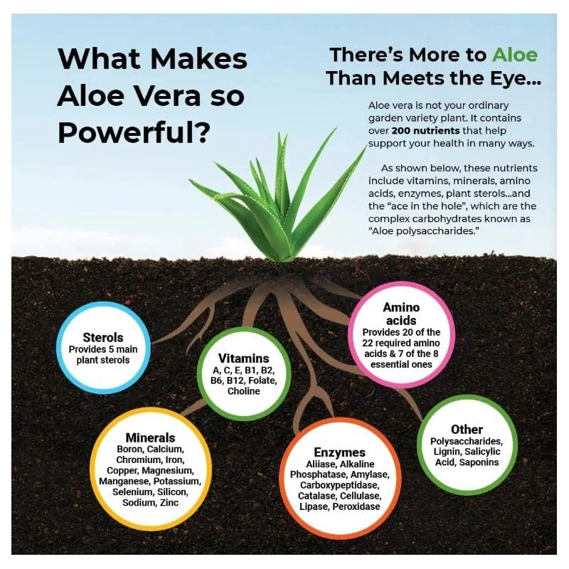 Organic Aloe Vera - Support Gut Health & Detox, Fat Burning, Antioxidant