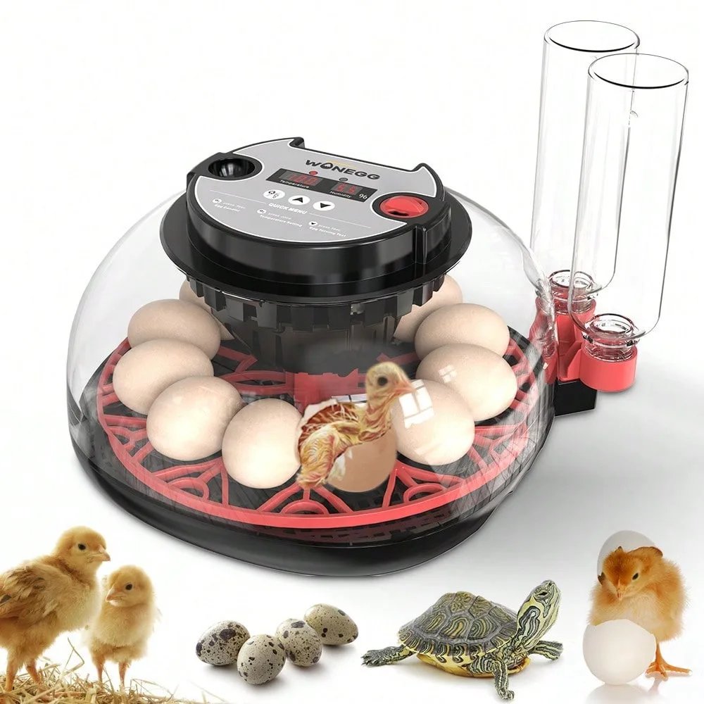 Egg Incubator For Hatching Chicks, Automatic Egg 12 Eggs, Smart Incubator 360° Clear Window With Temperature Display Egg Candler