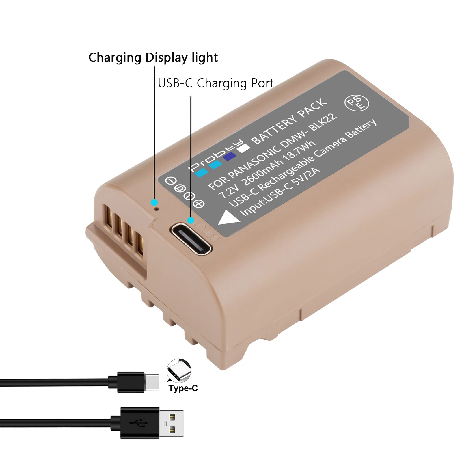 2600mAh DMW-BLK22 DMW BLK22 Battery USB-C Rechargeable Camera Battery for Panasonic LUMIX DC GH6, S5, S5II, GH5 II