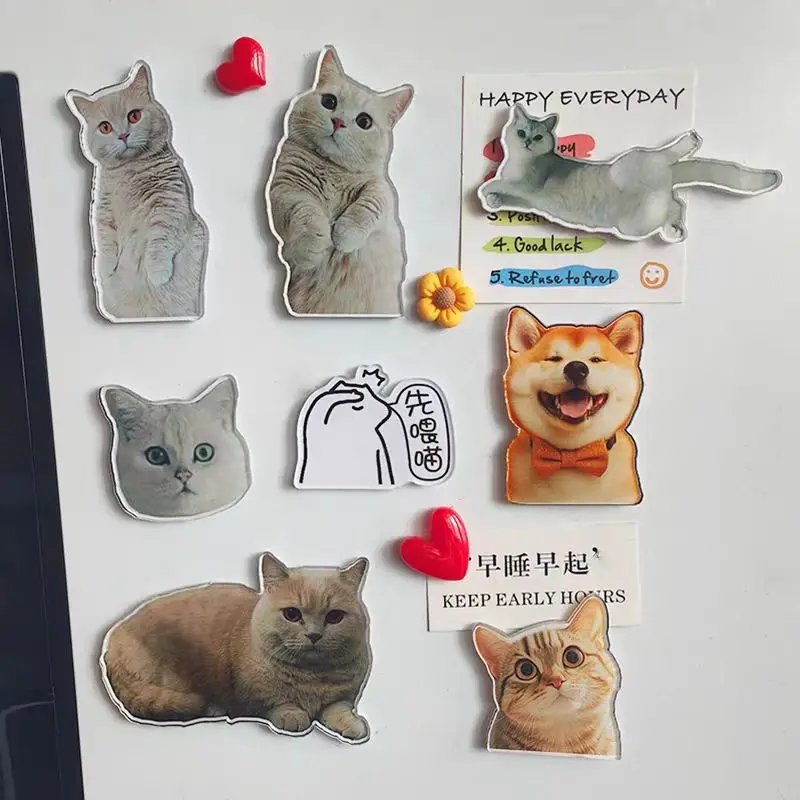 Wholesale Custom Acrylic Refrigerator Sticker Cute Children Pet Star Figures Photos Fridge Magnets Anime Cartoon Keychain