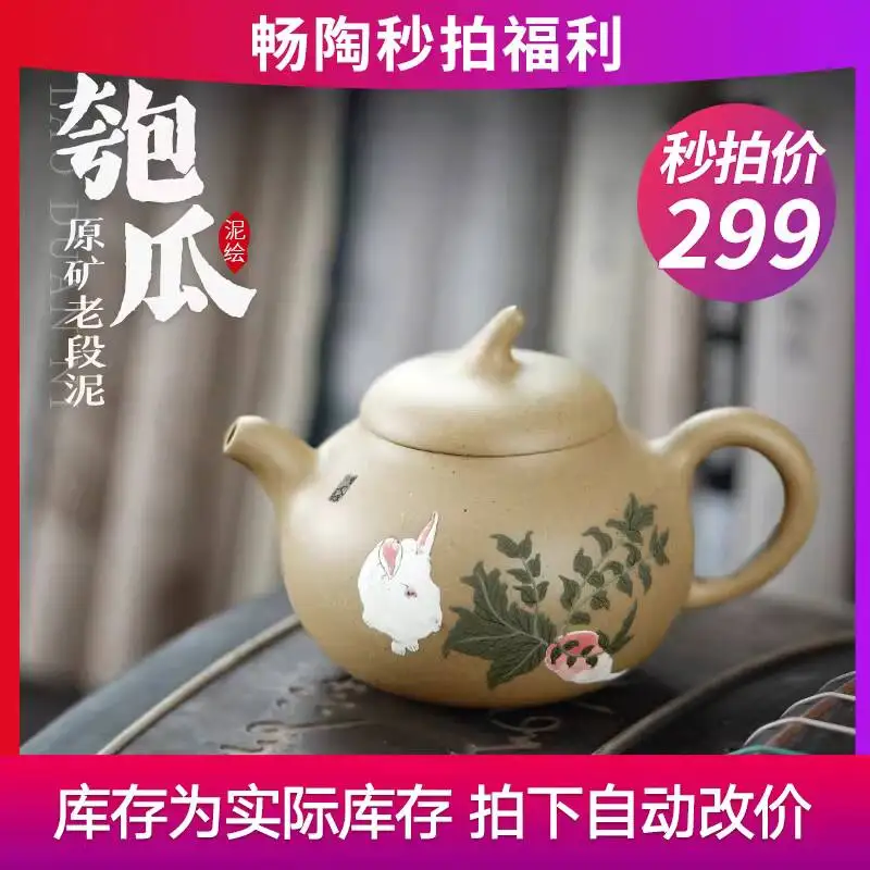 [Clearance Sale]Yixing Zisha By Pan Ye, Handmade Tea Pot, Clay Pot For Brewing Tea, Duan Ni Clay, Painted Design, 220Cc