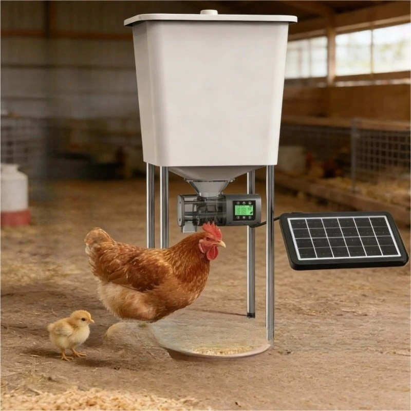 Chicken  Automatic  Lower automatic  Timed