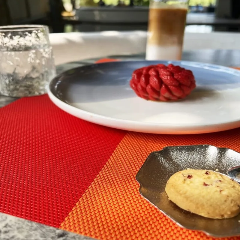 Heat-Resistant Woven Vinyl Placemats Set of 1/4/6/10 Non-Slip Washable PVC Orange Plastic Table Mat Easy to Clean Premium Mats