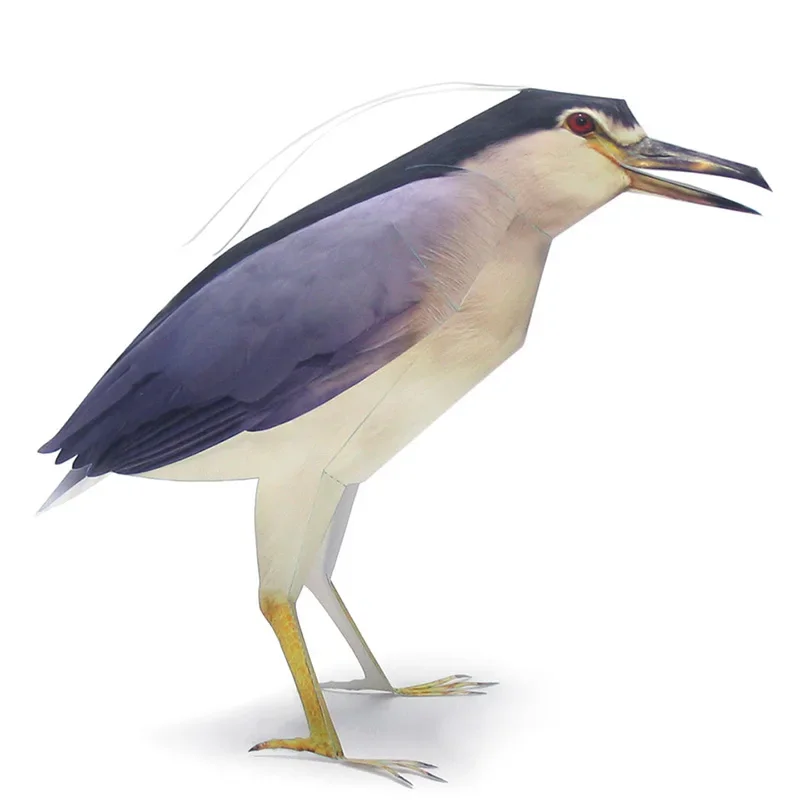 Night Heron Bird Paper Model Realistic Animal Mini Cute 3D Papercraft DIY Kids Adult Handmade Origami Art Craft Toys WE-021