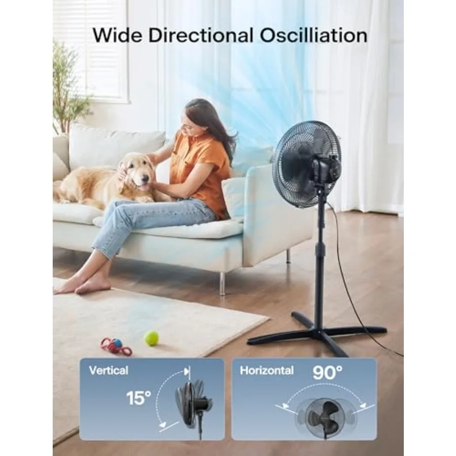 description
