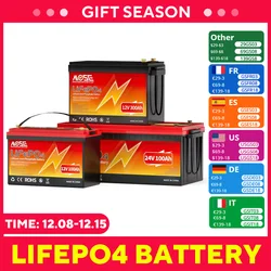 12V 24V 100Ah 200Ah 300Ah LiFePO4 Battery Built in BMS Lithium Iron Phosphate Rechargeable Batteries for Camper RV Power Bank