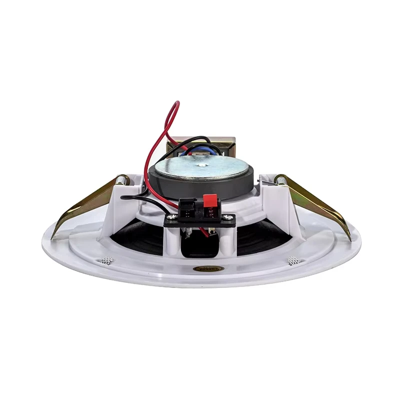 

Thin 100v ceiling speaker system for public address