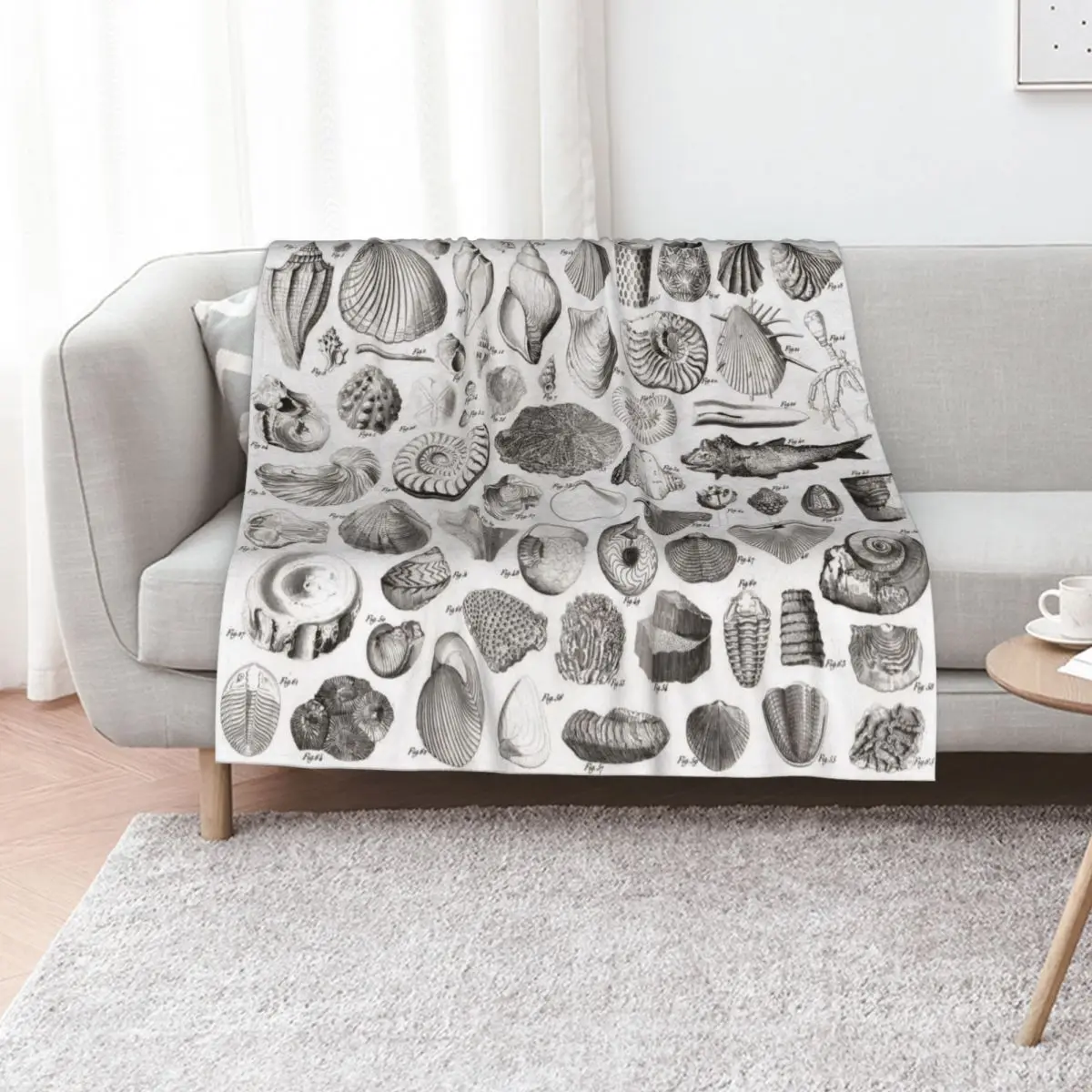1857 Diagram Paleontology: Fossils Throw Blanket warm winter Luxury Throw Plaid on the sofa Flannel Plush Cute Plaid Blankets