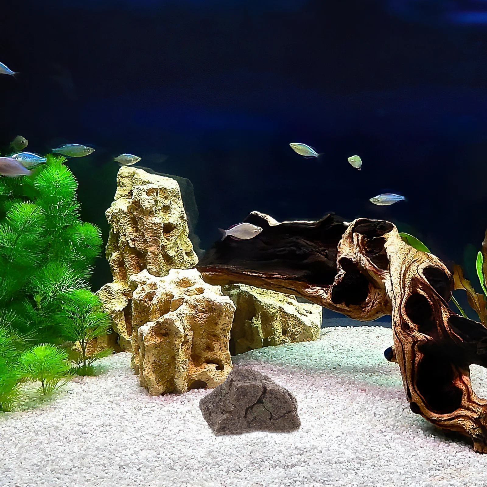 

3Pcs Miniature Rock Decorative Stones Bright Aquarium Pebbles Fish Tank Landscape Stones for Flower Pot Planters