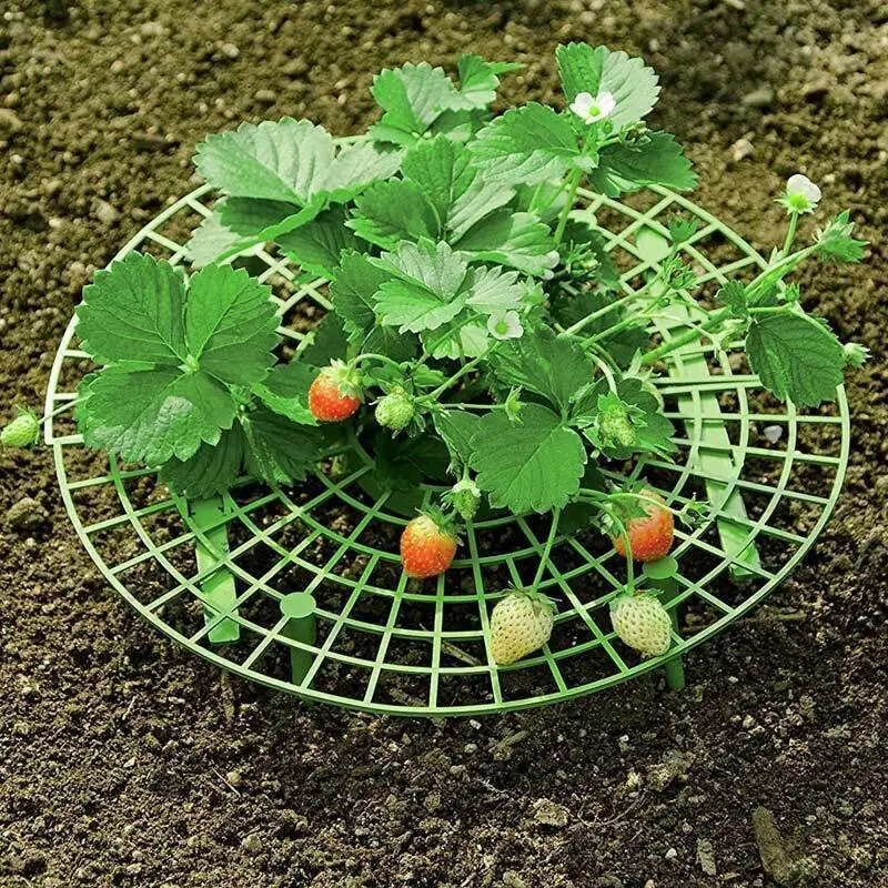 Strawberry Stand Planting Rack Fruit Support Climbing Vine Props Flower Pillar Gardening Bracket Gardening Stand Garden Supplies