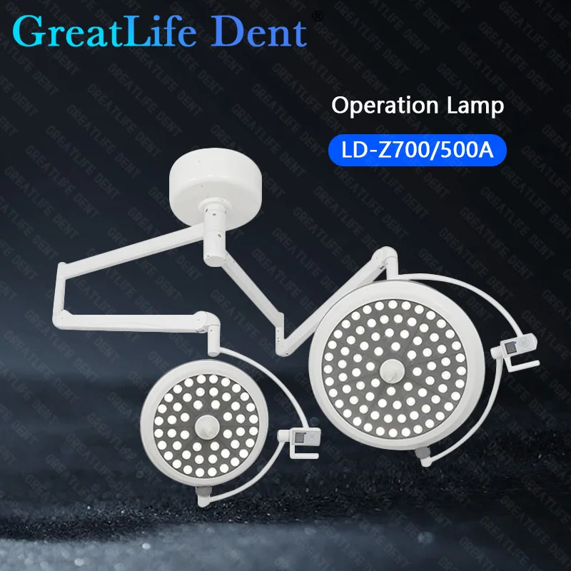 GreatLife Dent 80/48 Leds 80w Double Head Floor Standing LED Shadowless Operating Examination Light Dental Surgical Light Lamp