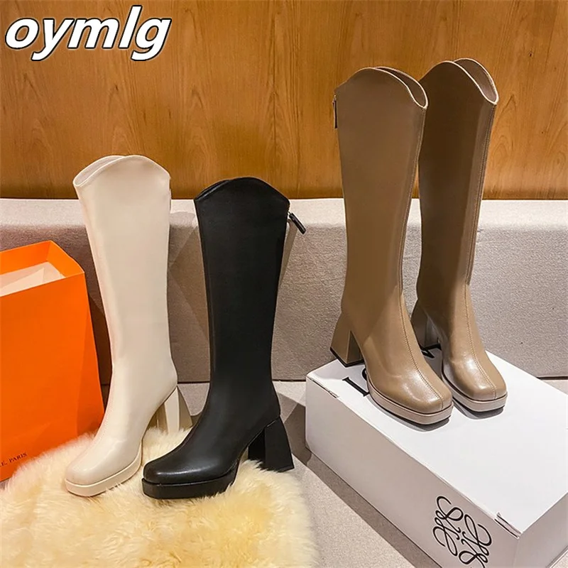 Large size high boots for women in winter new thick heels, high heels long boots  back zipper fashionable women\'s boots in stock