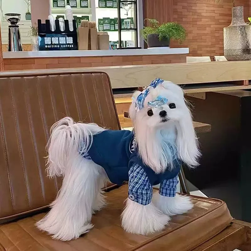 Pet Dog Cat Hoodie Ins Style Plaid Fake Two Piece Fleece Winter Warm Clothes for Small Dogs Schnauzer Bichon Shih Tzu Maltese