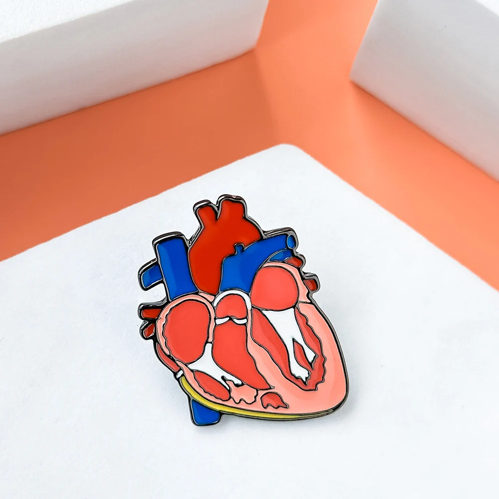 Anatomy Heart Organ Lapel Pin Colorful Medical Cardiology Enamel Brooch Bag Badge Creative Jewelry Accessories for Doctor Nurse