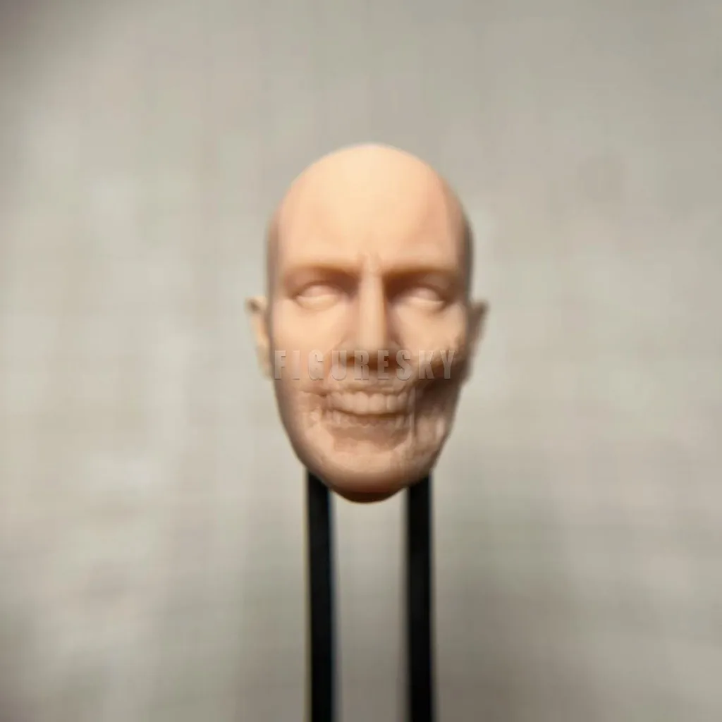 

HL2136 DIY Customized 1/18 1/12 1/10 Arnold V Mummy B Unpainted Head Sculpt for 3.75" 6" 7" Figure SHF ML Mafex Mez NECA Mcf