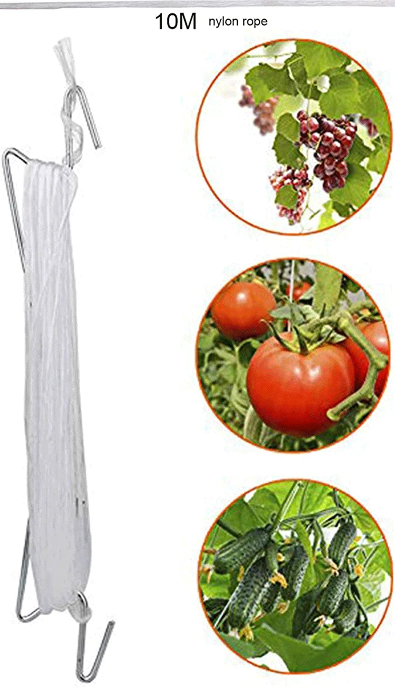 

10m tomato greenhouse plant stand plant accessories for growing tomatoes and cherries in greenhouses Lattice wire tomato hooks