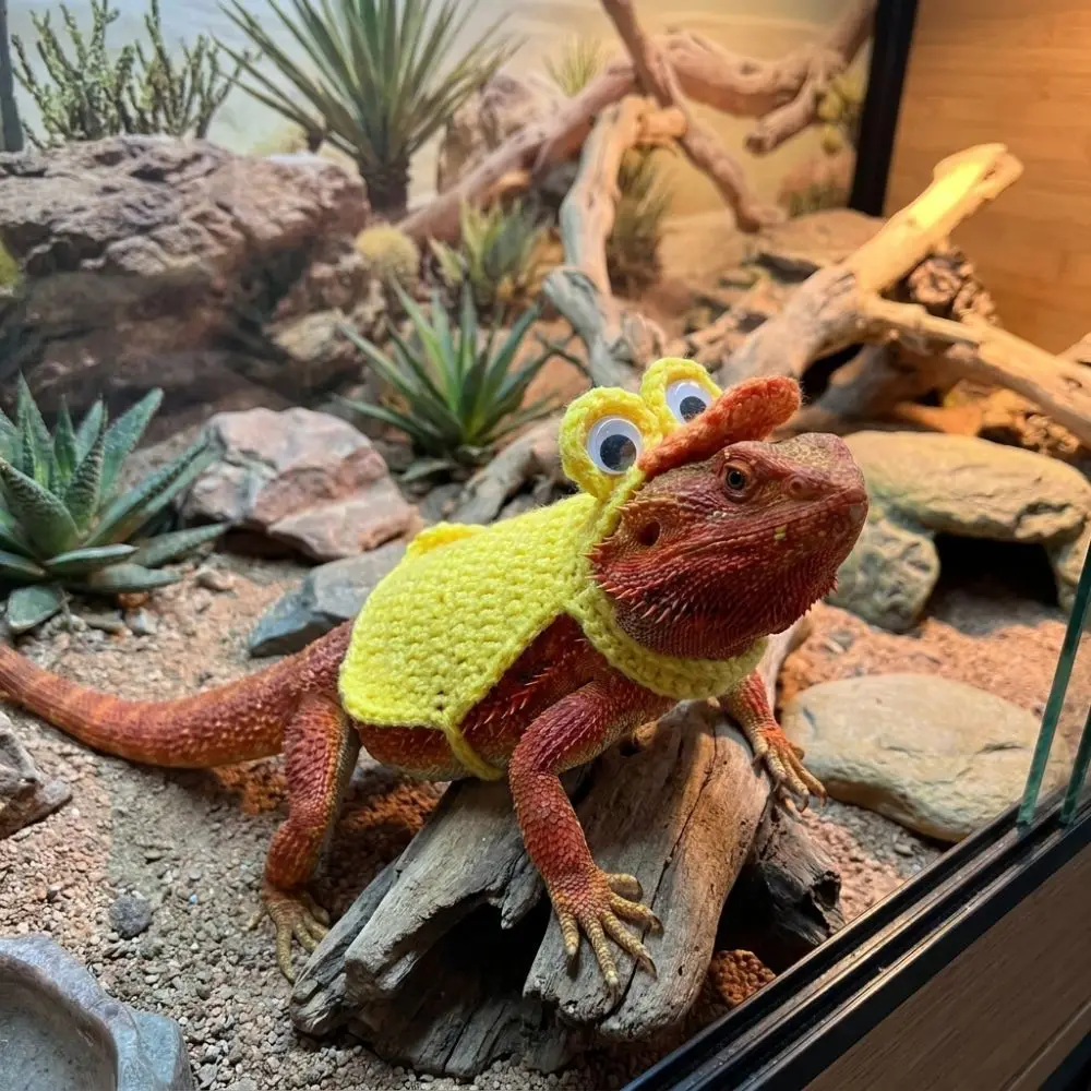 Cartoon Cute Lizard Transformation Dress Warm Flexible Fit Reptile Cosplay Clothes Handmade Frog Costume Outdoor