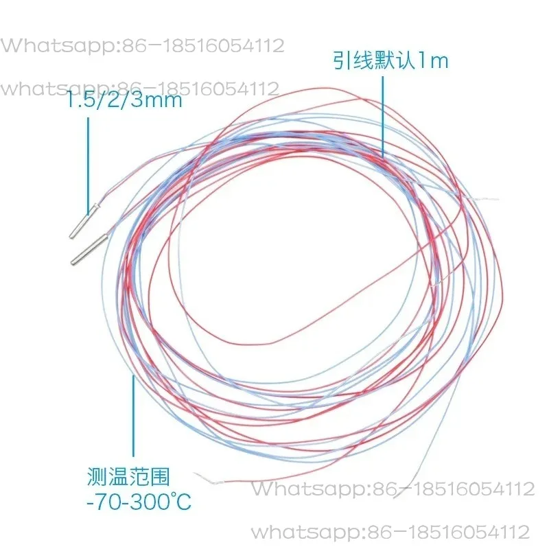 Pipe diameter 1.5mm 2mm 3mm ultra small / ultra short volume PT100 platinum resistance two-wire system class A