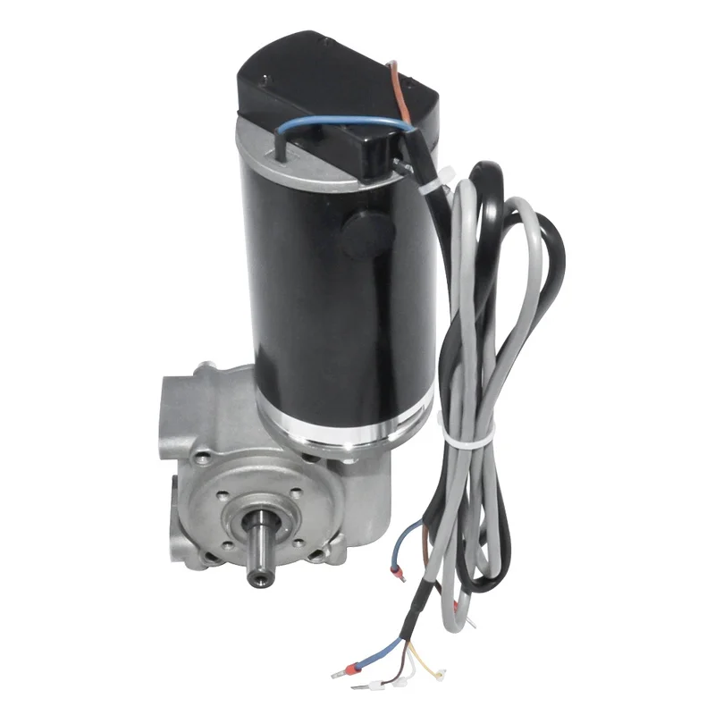 DC24V 60W 100W High Torque Worm Gear Motor Intelligent Encoder Electric Door Motor Suitable for Hotel Automatic Doors