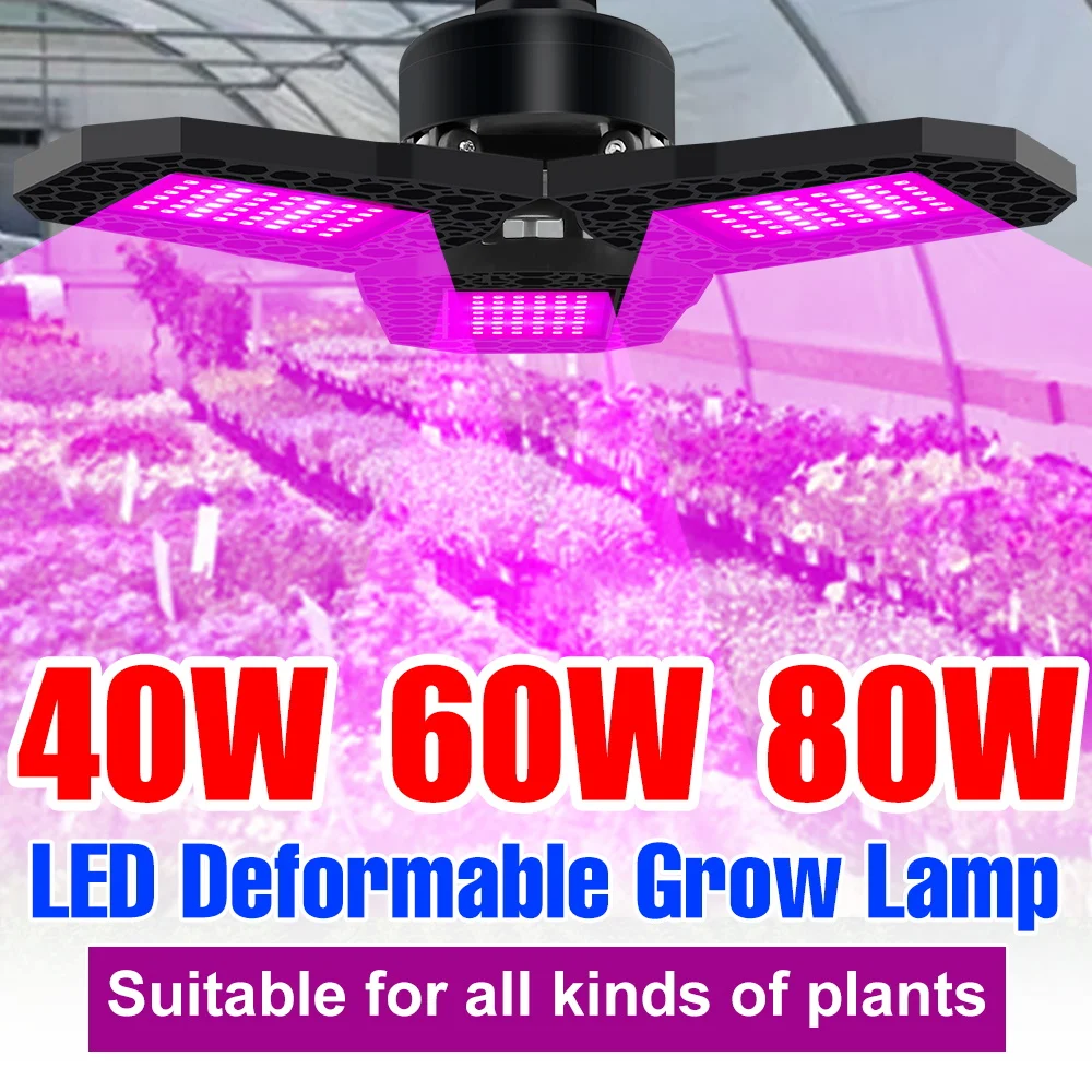 

Светодиодная лампа для растений 80W E27, полный спектр, для выращивания в помещении, теплицах, рассады, фруктов, овощей, цветов