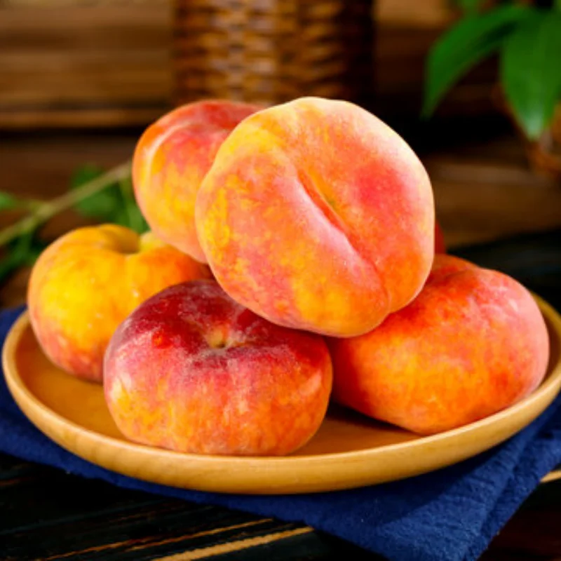 Placa de bandeja de parafuso magnético de liga de alumínio para rc crawler carro rc barco drone rc modelo ferramenta de reparo