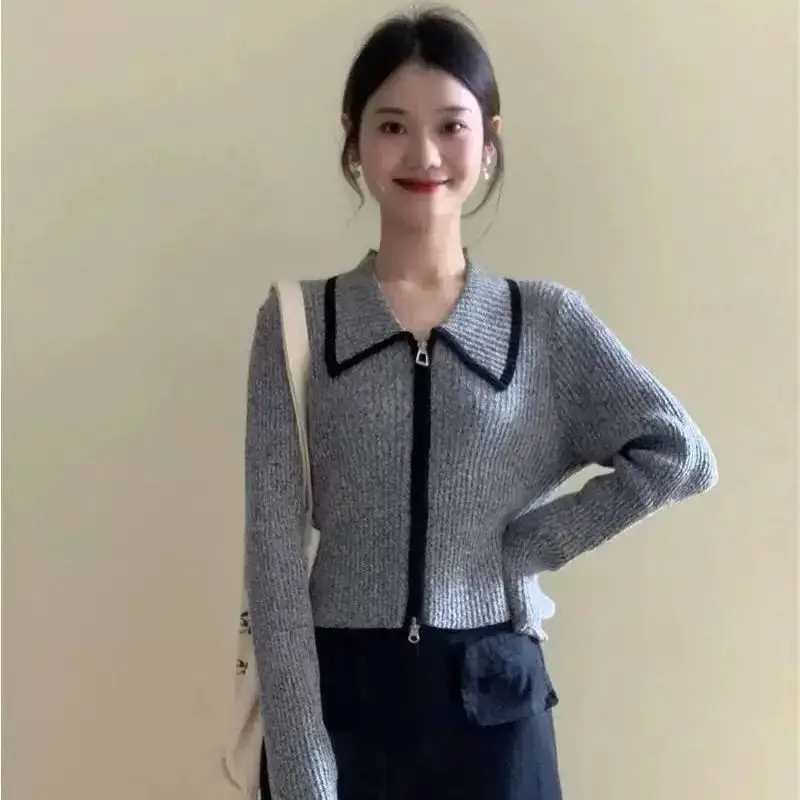 

Женская одежда, весенне-осенняя модная корейская молния, однотонный воротник-поло, женский простой универсальный темпераментный шифоновый карди