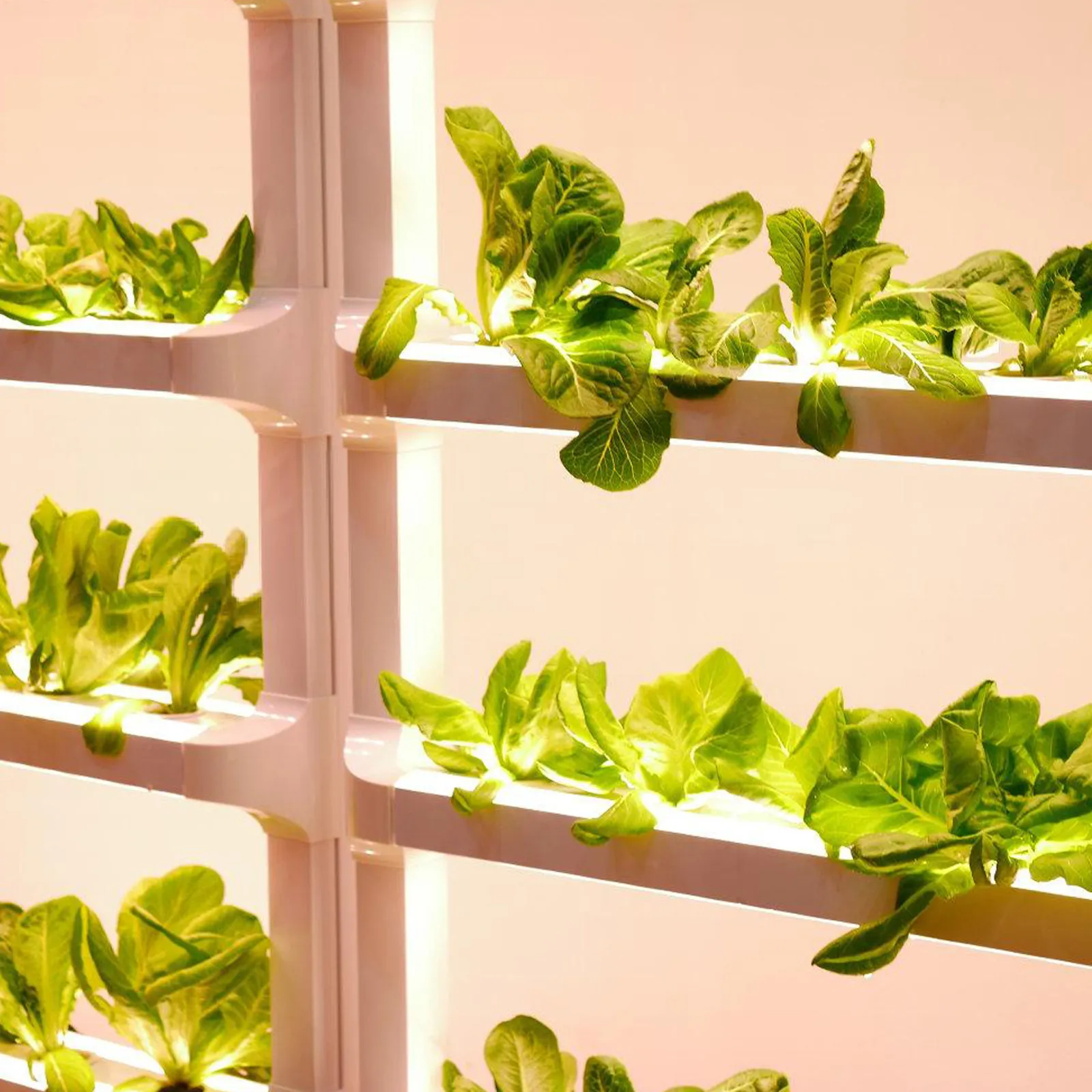 

5 Meter LED Grow Light Strip 300W Smd 5050 Waterproof Flexible Plant Lamp for Home Garden Greenhouse Flower Veg Cultivation