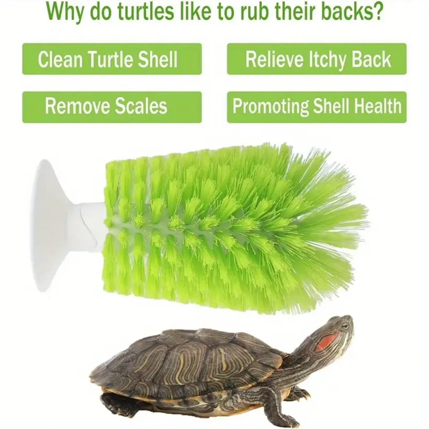 Amphibian Friendly Turtle Back Scrub Brush PVC Suction Cup Exfoliation Tool for Removing Shell Scutes and Promoting Shell Health