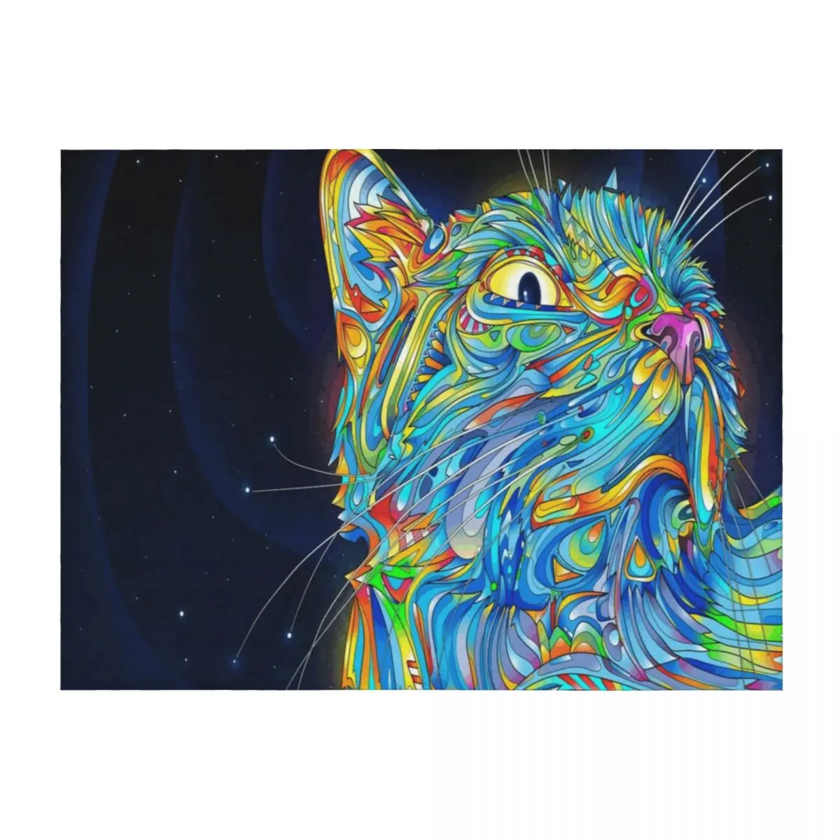

ABSTRACT CAT Throw Blanket Weighted Flannel Flannels For Sofa Thin Blankets