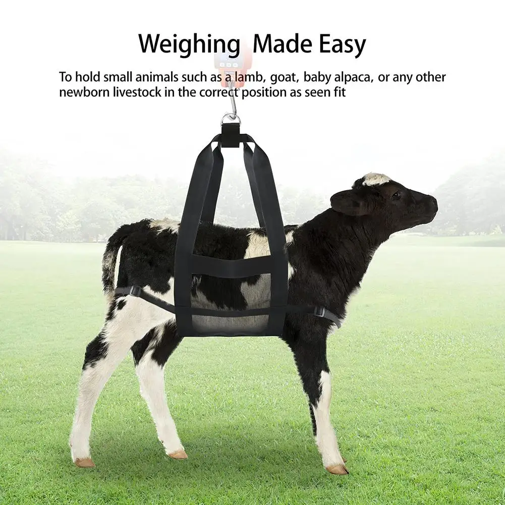 Calf Sling for Weighing Animals Calf Scale Hanging Weight Scale Sling with Adjustable Straps for Weighing Calves Lambs Goat Baby