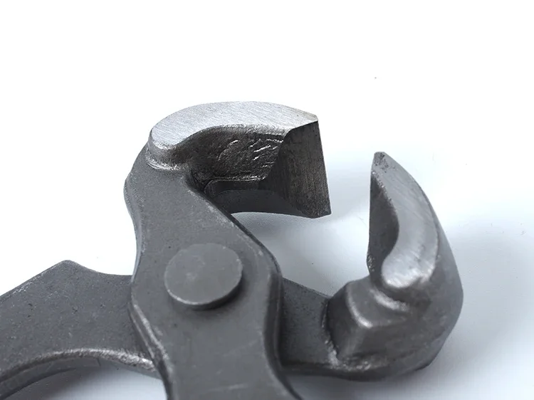 تربية الحيوانات والأنشطة العلمية البيطرية ترفع الماشية حافر الماشية أدوات قطع البغل معدات كسارة البندق الأظافر