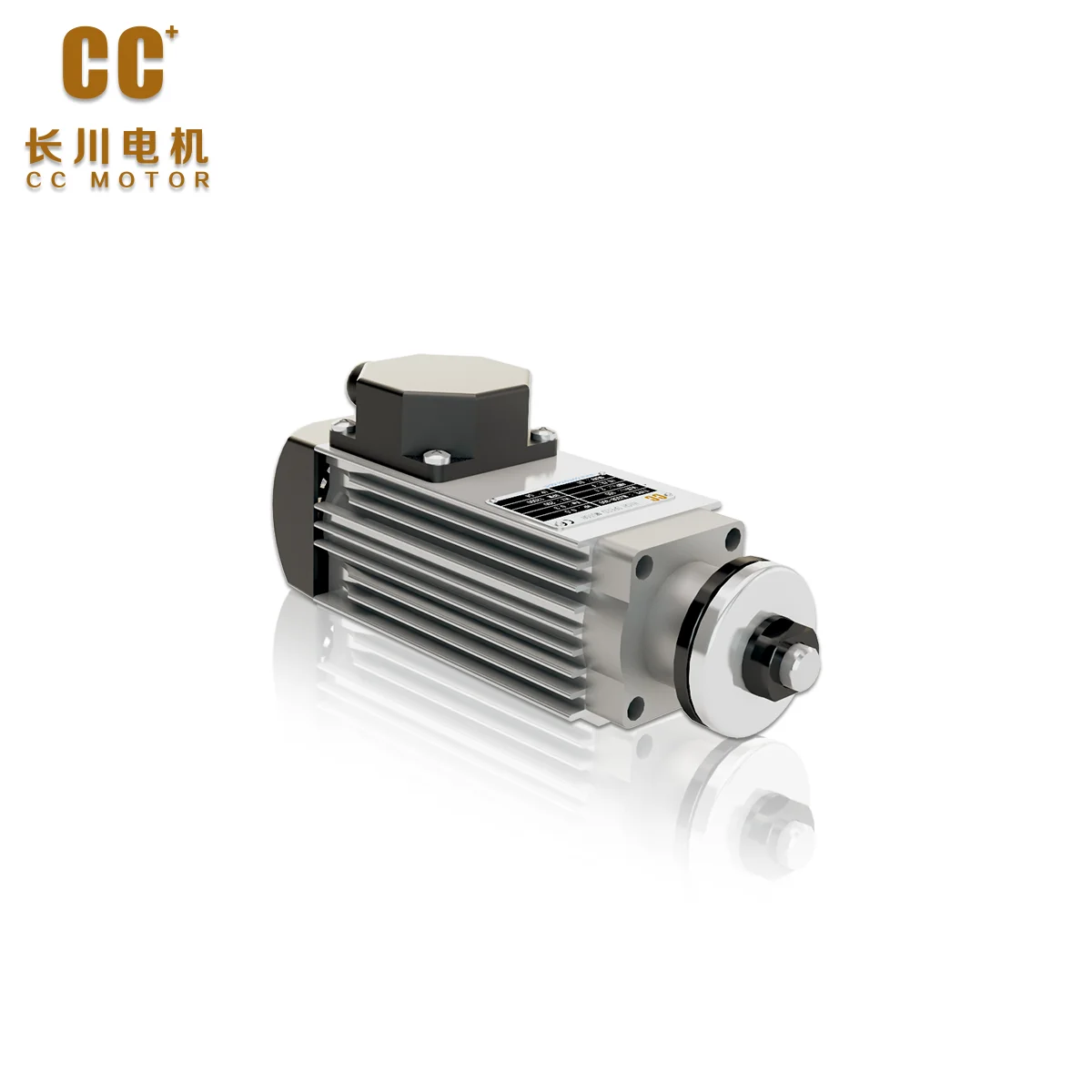 NEWWoodworking Machine Parts High Speed Motor End Trimming Motor End Cutting Motor CC Motor MJ35B-370 For KDT For NANXING Machin