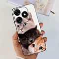 case-c51
