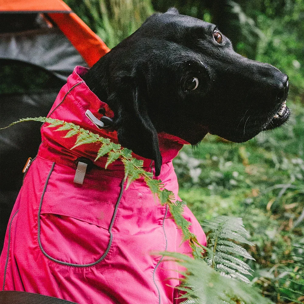 

Dog Coats Small Waterproof,Warm Outfit Clothes Dog Jackets Small,Adjustable Drawstring Warm And Cozy Dog Sport Vest