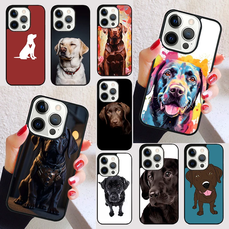 Labrador Puppy Dog …