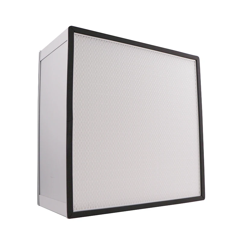 New Condition Box Filter Air Purifier Filter for Cleanroom Mushroom Mycology Laboratories Lab